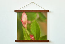 Burnt Oak Magnet Frames