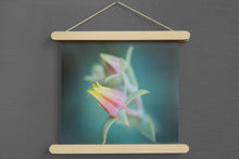 Beech Magnet Frames