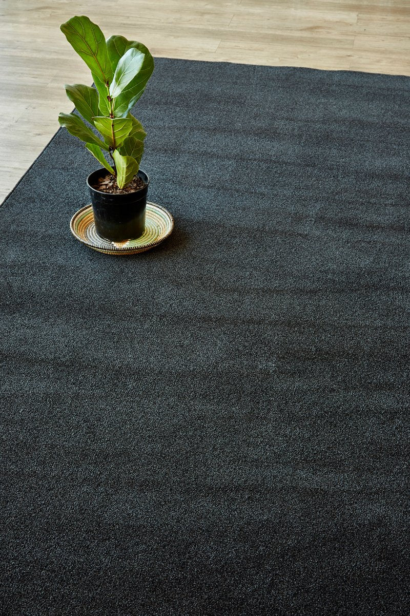 Plush Anthracite