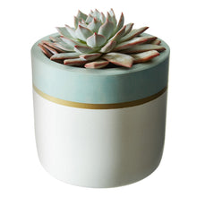 Light Blue Pot