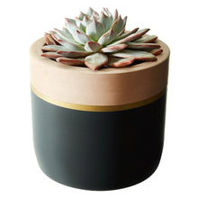 Dark Blush Pot