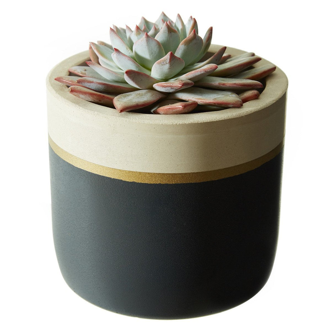 Dark Natural Pot