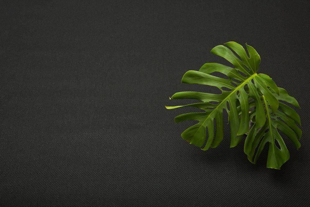 Black Texture rug