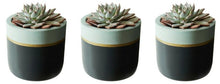 Sky Trim Collection - Set of 3 Dark Pots