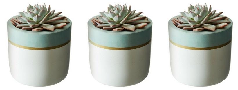 Sky Trim Collection - Set of 3 White Pots