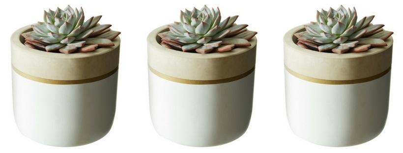 Natural Trim Collection - Set of 3 White Pots
