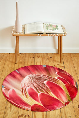Protea Love