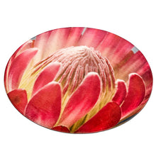 Protea Love