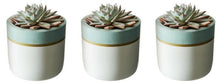 Sky Trim Collection - Set of 3 White Pots
