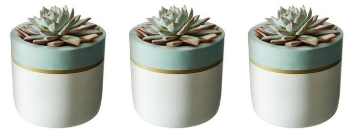 Sky Trim Collection - Set of 3 White Pots