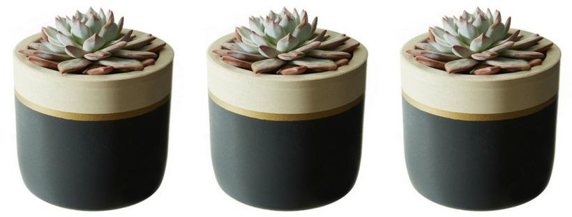 Natural Trim Collection - Set of 3 Dark Pots